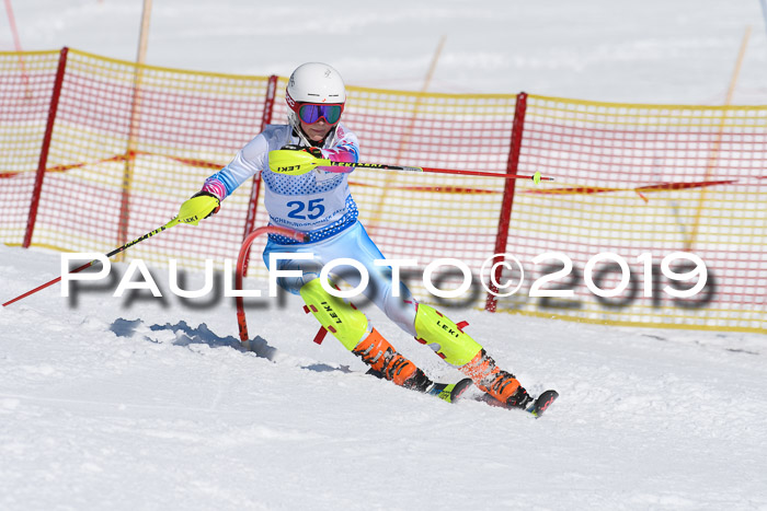 SVM U14/U16 Slalom 17.02.2019