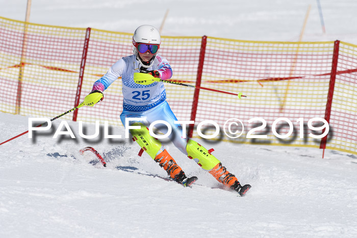 SVM U14/U16 Slalom 17.02.2019
