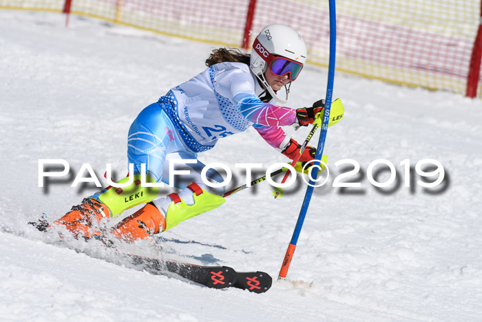 SVM U14/U16 Slalom 17.02.2019