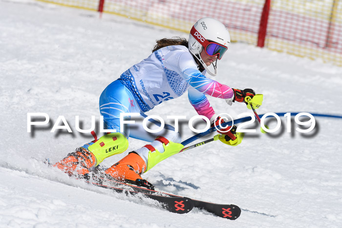 SVM U14/U16 Slalom 17.02.2019