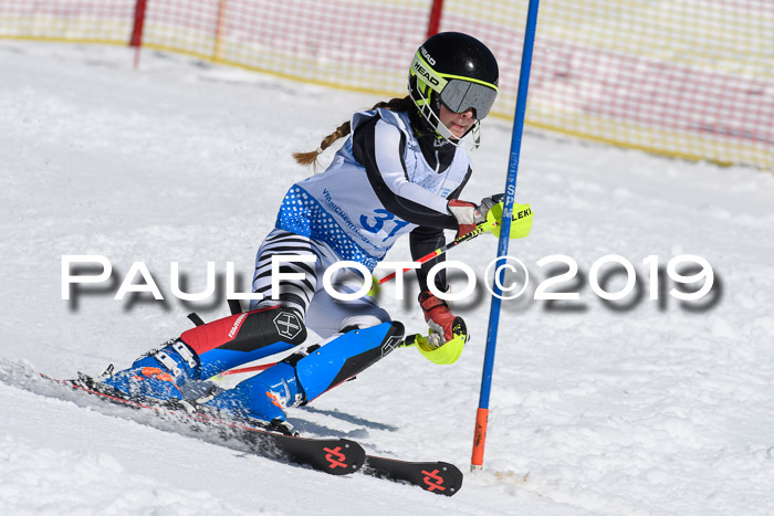 SVM U14/U16 Slalom 17.02.2019