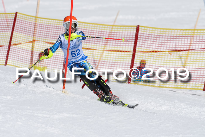 SVM U14/U16 Slalom 17.02.2019