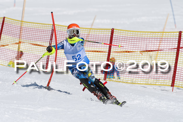 SVM U14/U16 Slalom 17.02.2019