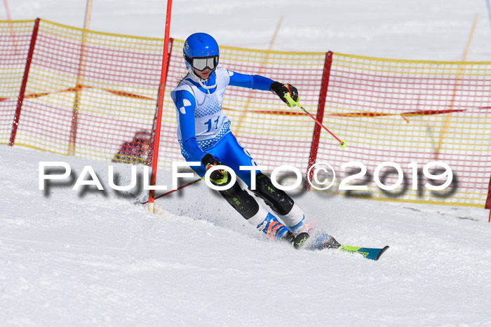 SVM U14/U16 Slalom 17.02.2019