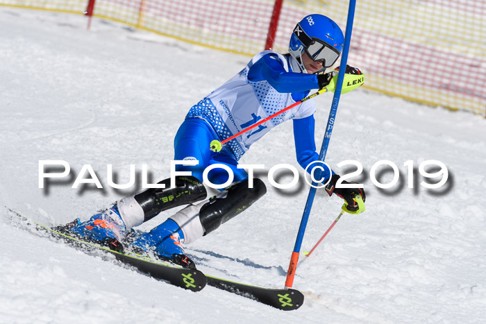 SVM U14/U16 Slalom 17.02.2019
