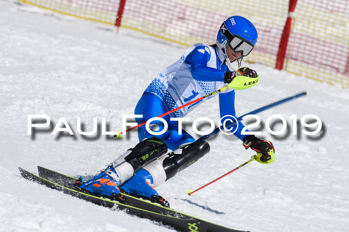 SVM U14/U16 Slalom 17.02.2019