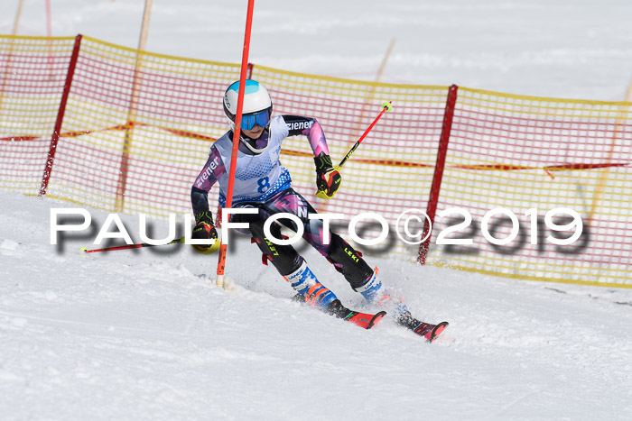 SVM U14/U16 Slalom 17.02.2019