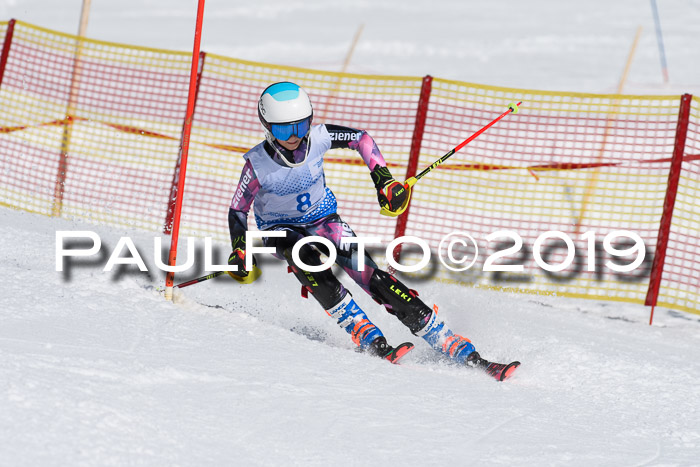 SVM U14/U16 Slalom 17.02.2019