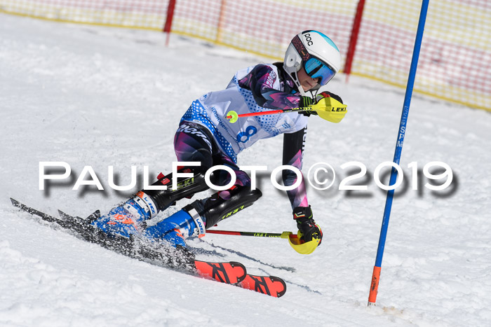 SVM U14/U16 Slalom 17.02.2019