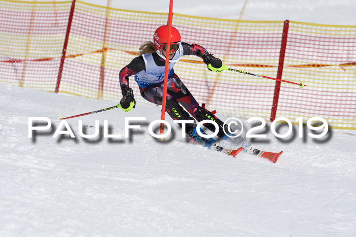 SVM U14/U16 Slalom 17.02.2019