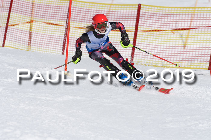SVM U14/U16 Slalom 17.02.2019