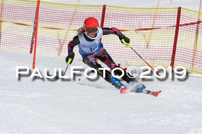 SVM U14/U16 Slalom 17.02.2019