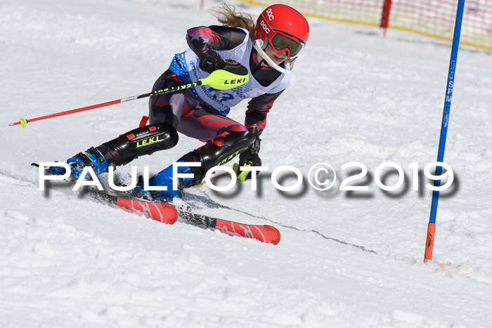 SVM U14/U16 Slalom 17.02.2019