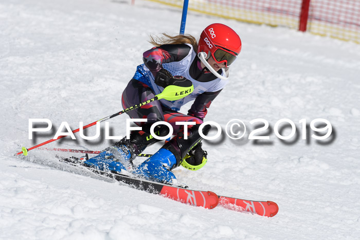 SVM U14/U16 Slalom 17.02.2019