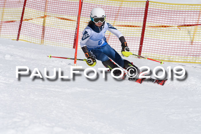 SVM U14/U16 Slalom 17.02.2019