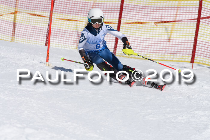 SVM U14/U16 Slalom 17.02.2019