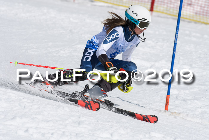 SVM U14/U16 Slalom 17.02.2019