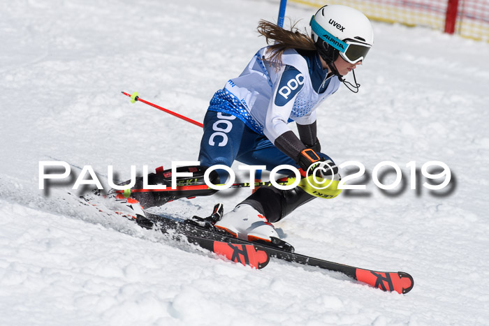 SVM U14/U16 Slalom 17.02.2019