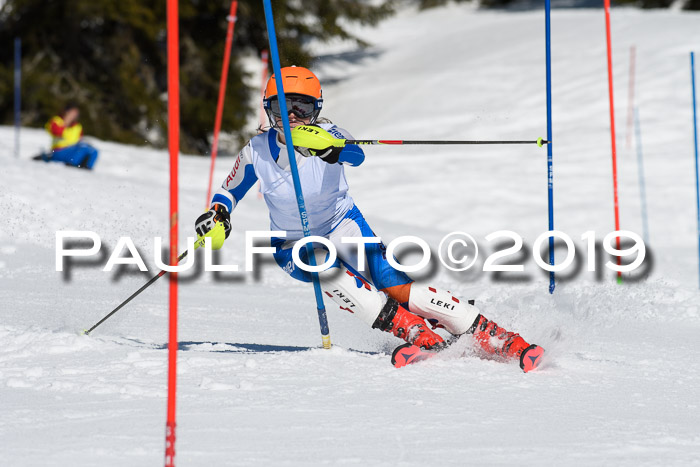 SVM U14/U16 Slalom 17.02.2019