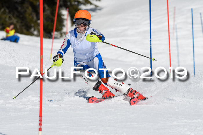 SVM U14/U16 Slalom 17.02.2019