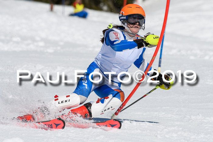 SVM U14/U16 Slalom 17.02.2019