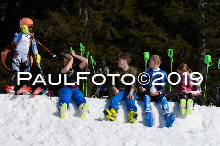 SVM U14/U16 Slalom 17.02.2019