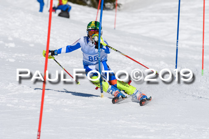 SVM U14/U16 Slalom 17.02.2019
