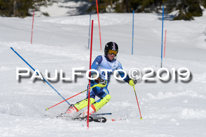 SVM U14/U16 Slalom 17.02.2019