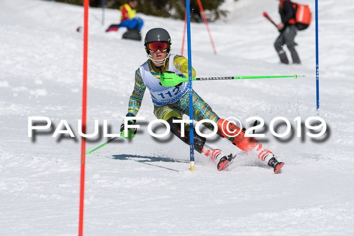 SVM U14/U16 Slalom 17.02.2019