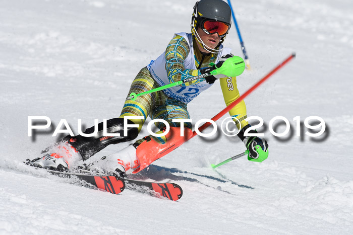 SVM U14/U16 Slalom 17.02.2019