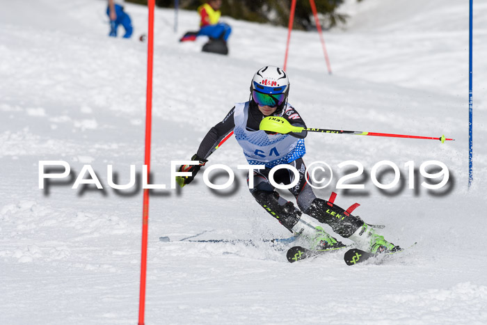 SVM U14/U16 Slalom 17.02.2019