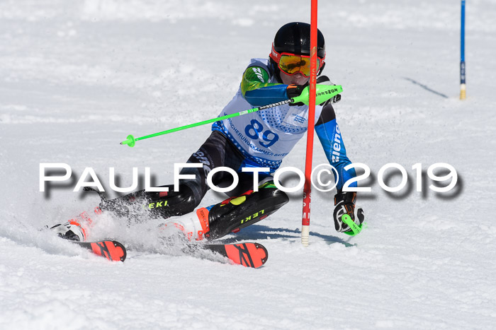 SVM U14/U16 Slalom 17.02.2019