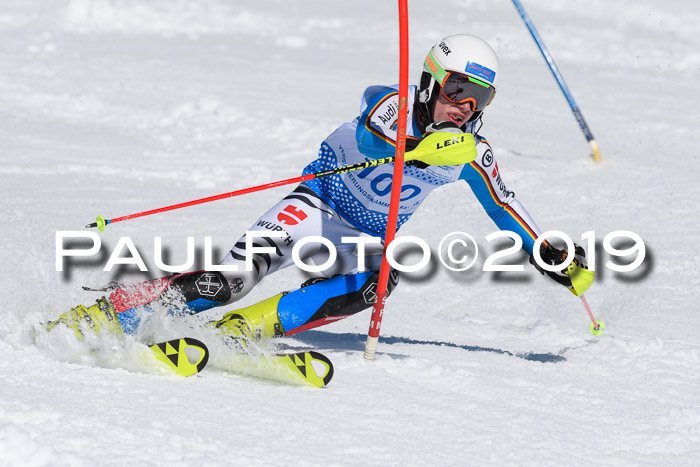 SVM U14/U16 Slalom 17.02.2019