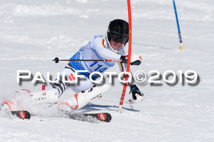 SVM U14/U16 Slalom 17.02.2019