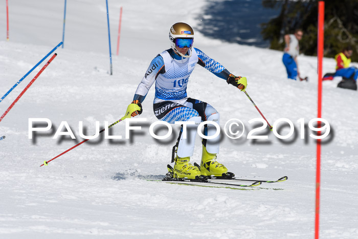 SVM U14/U16 Slalom 17.02.2019