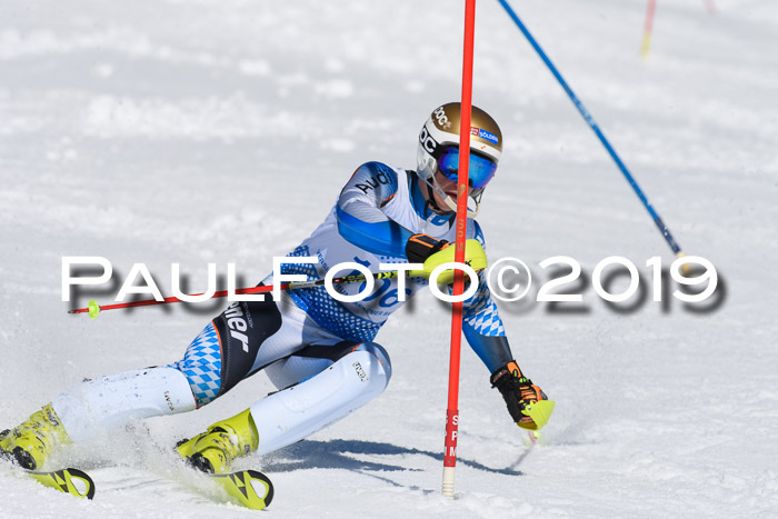 SVM U14/U16 Slalom 17.02.2019