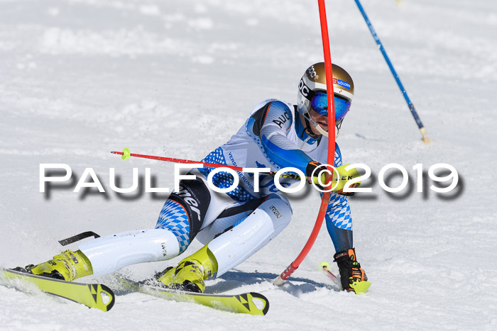 SVM U14/U16 Slalom 17.02.2019