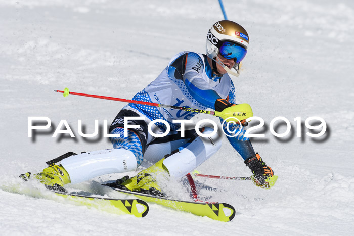 SVM U14/U16 Slalom 17.02.2019