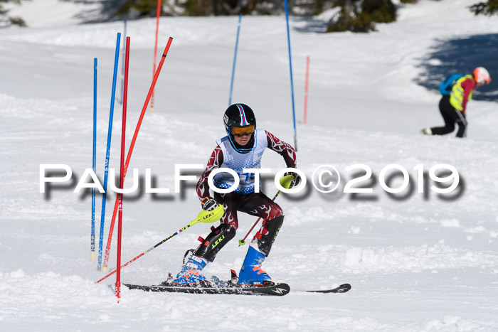 SVM U14/U16 Slalom 17.02.2019