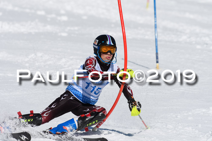 SVM U14/U16 Slalom 17.02.2019