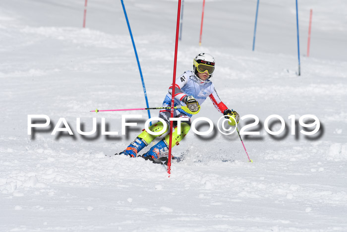 SVM U14/U16 Slalom 17.02.2019