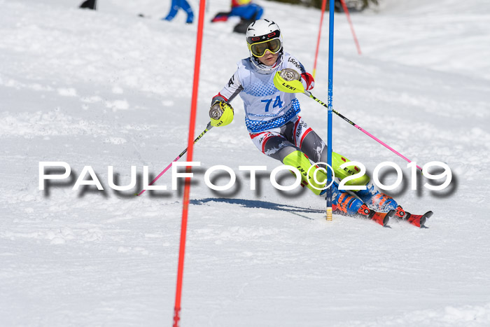 SVM U14/U16 Slalom 17.02.2019