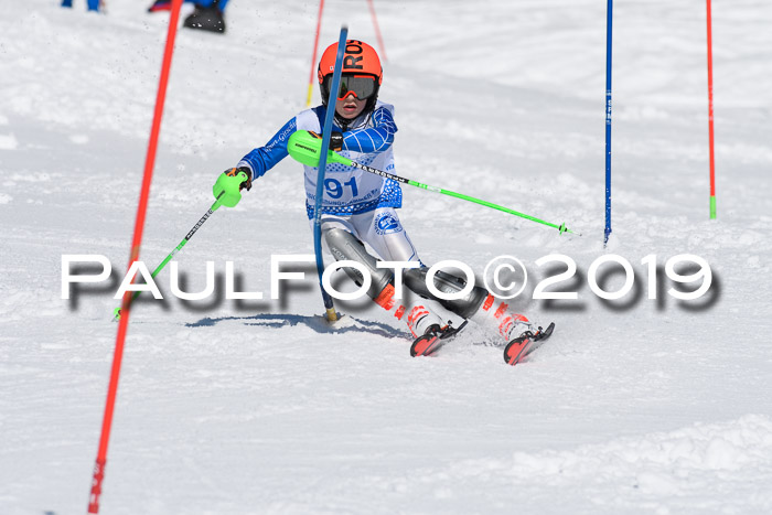 SVM U14/U16 Slalom 17.02.2019