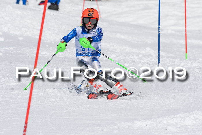 SVM U14/U16 Slalom 17.02.2019