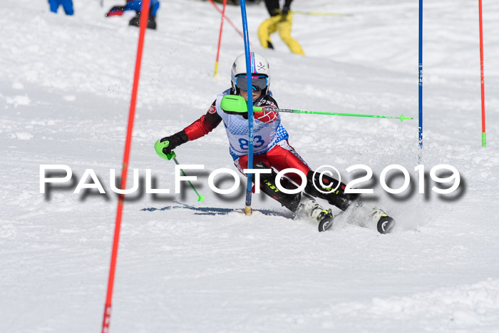 SVM U14/U16 Slalom 17.02.2019