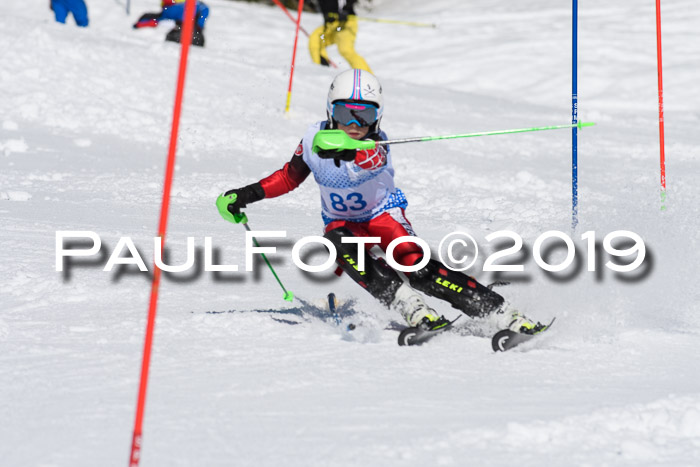 SVM U14/U16 Slalom 17.02.2019