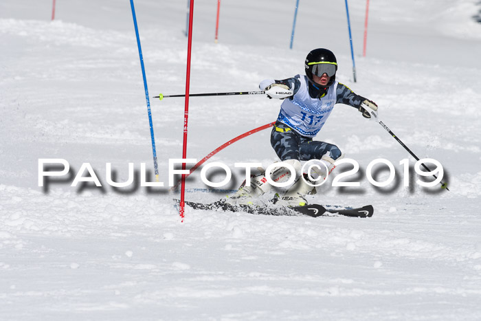 SVM U14/U16 Slalom 17.02.2019