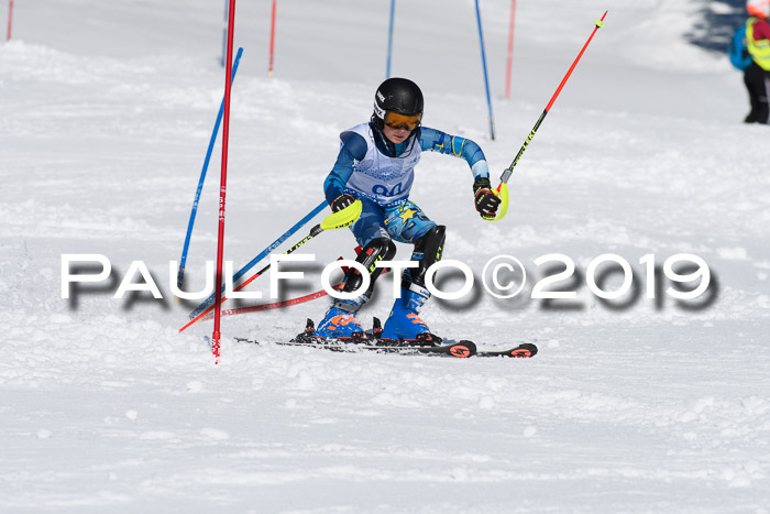 SVM U14/U16 Slalom 17.02.2019