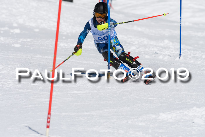 SVM U14/U16 Slalom 17.02.2019