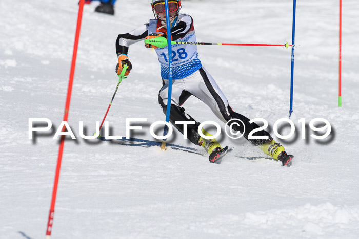 SVM U14/U16 Slalom 17.02.2019